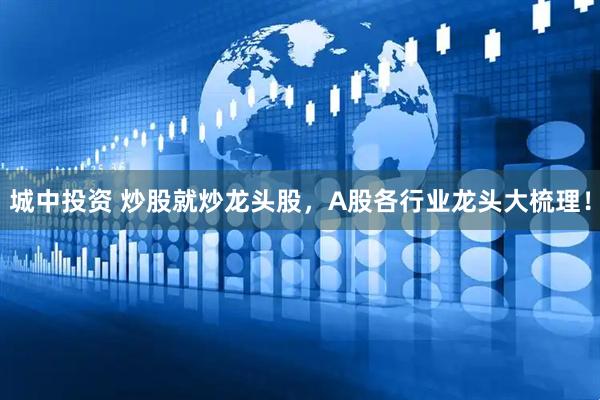城中投资 炒股就炒龙头股，A股各行业龙头大梳理！